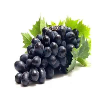 item-image