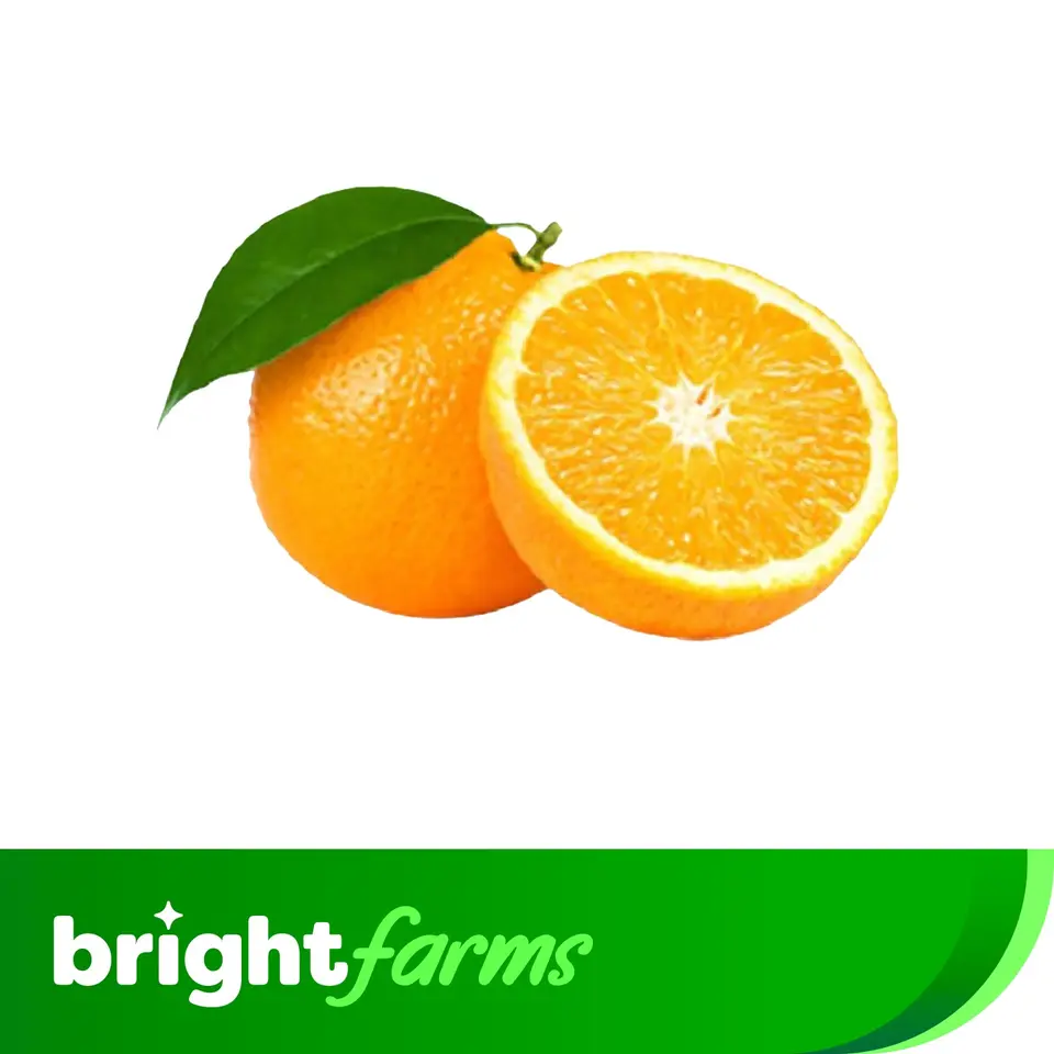 item-image
