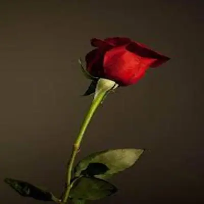 item-image