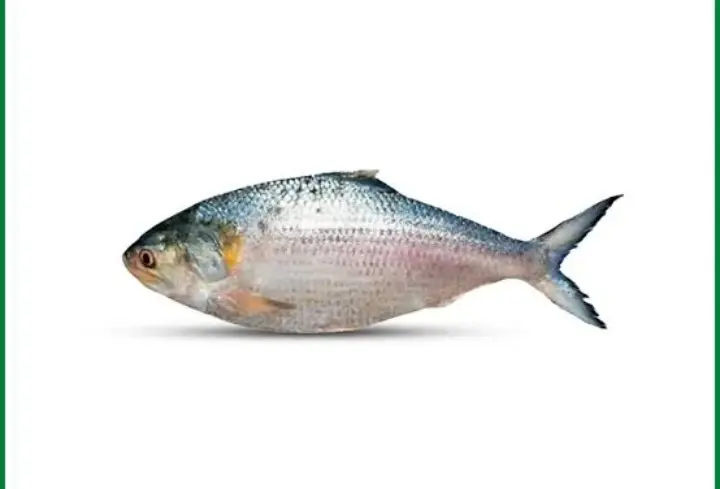 item-image