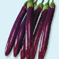item-image