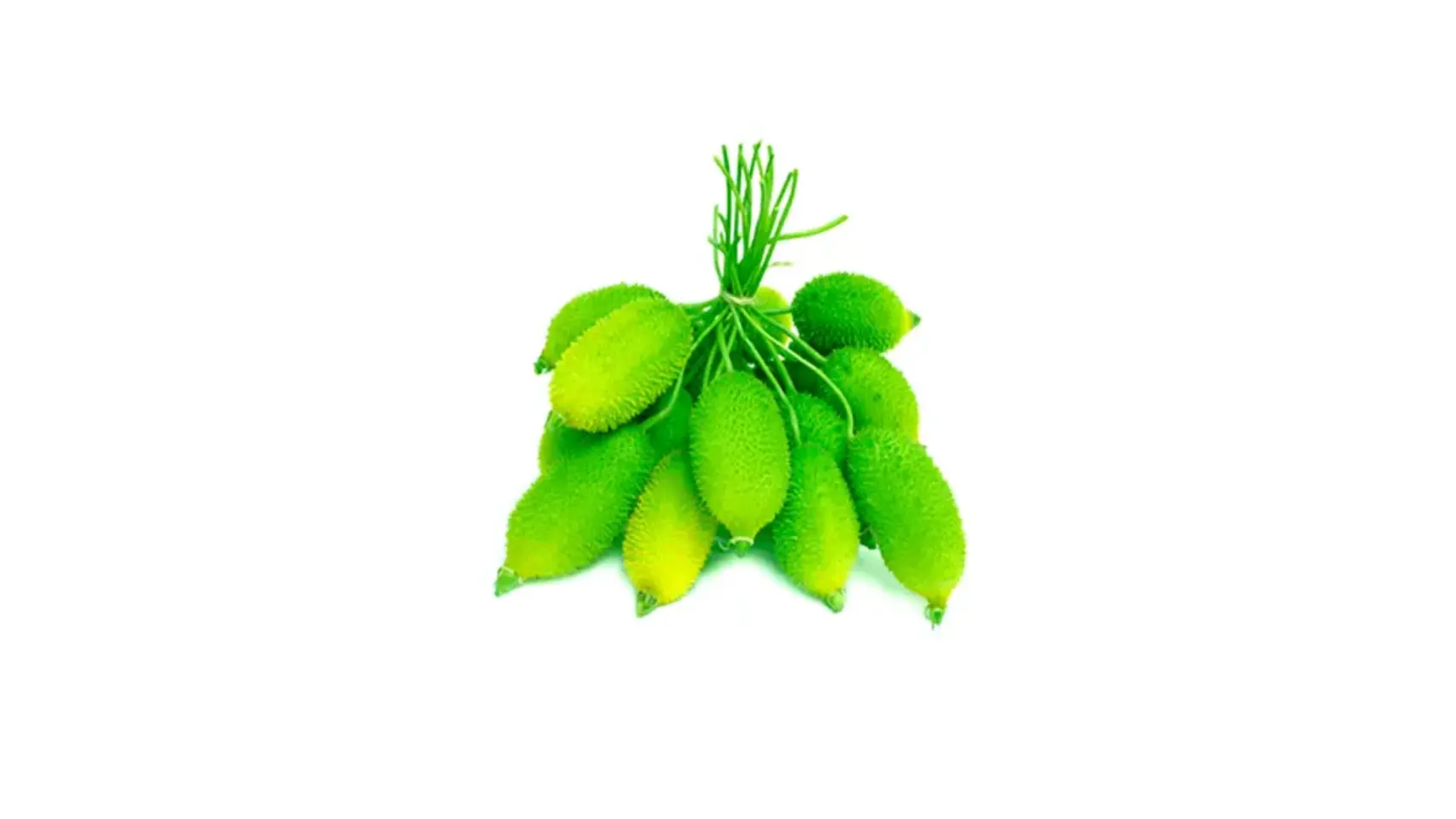 item-image