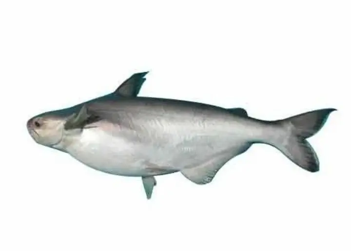 item-image
