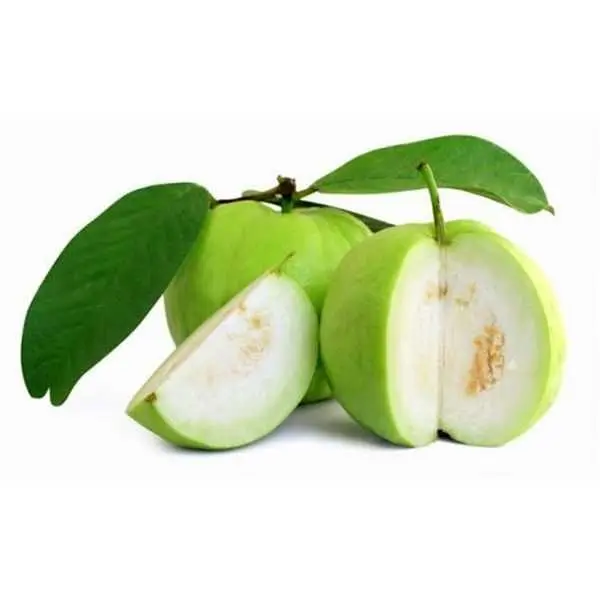 item-image