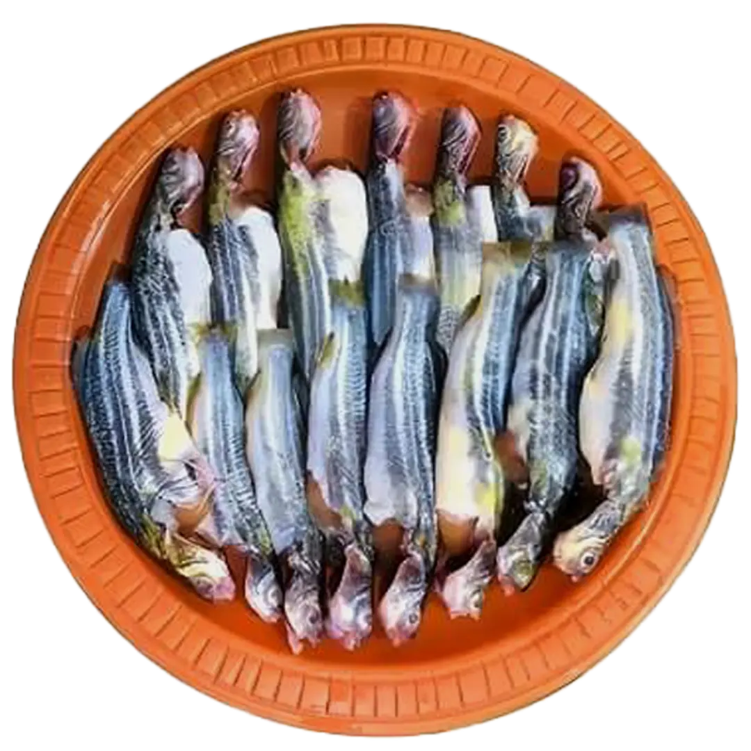 item-image
