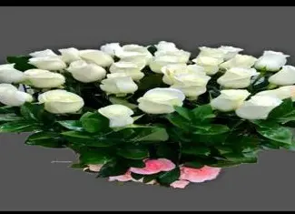 item-image