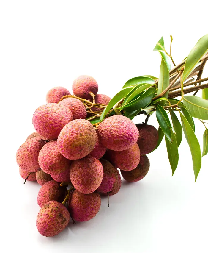 item-image